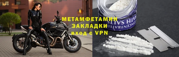 прущие грибы Белокуриха