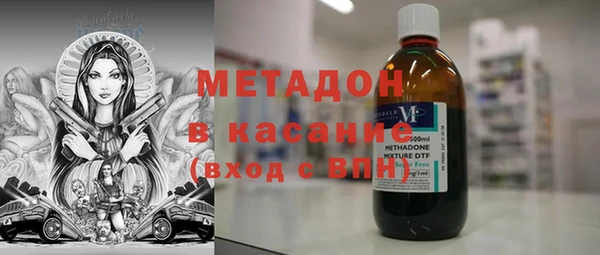 сатива Беломорск