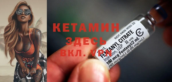 прущие грибы Белокуриха