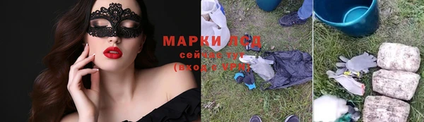 прущие грибы Белокуриха
