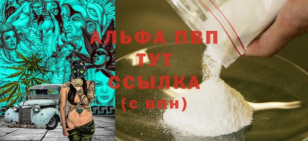 сатива Беломорск
