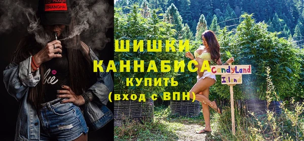 сатива Беломорск