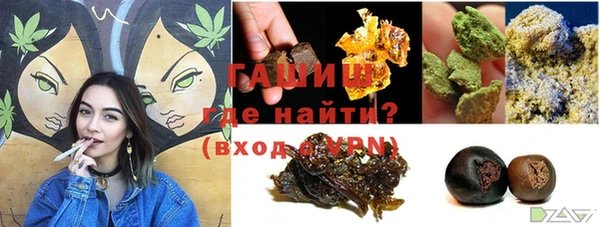 сатива Беломорск
