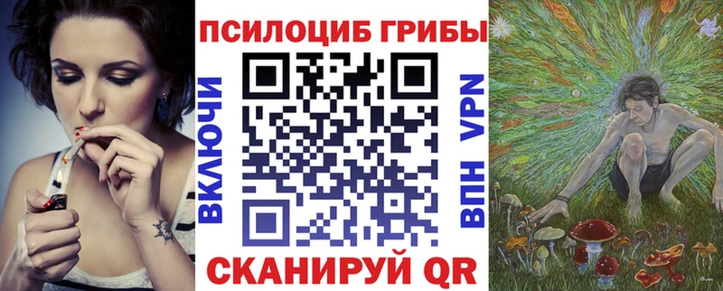 как найти закладки  Светогорск  Псилоцибиновые грибы MAGIC MUSHROOMS 